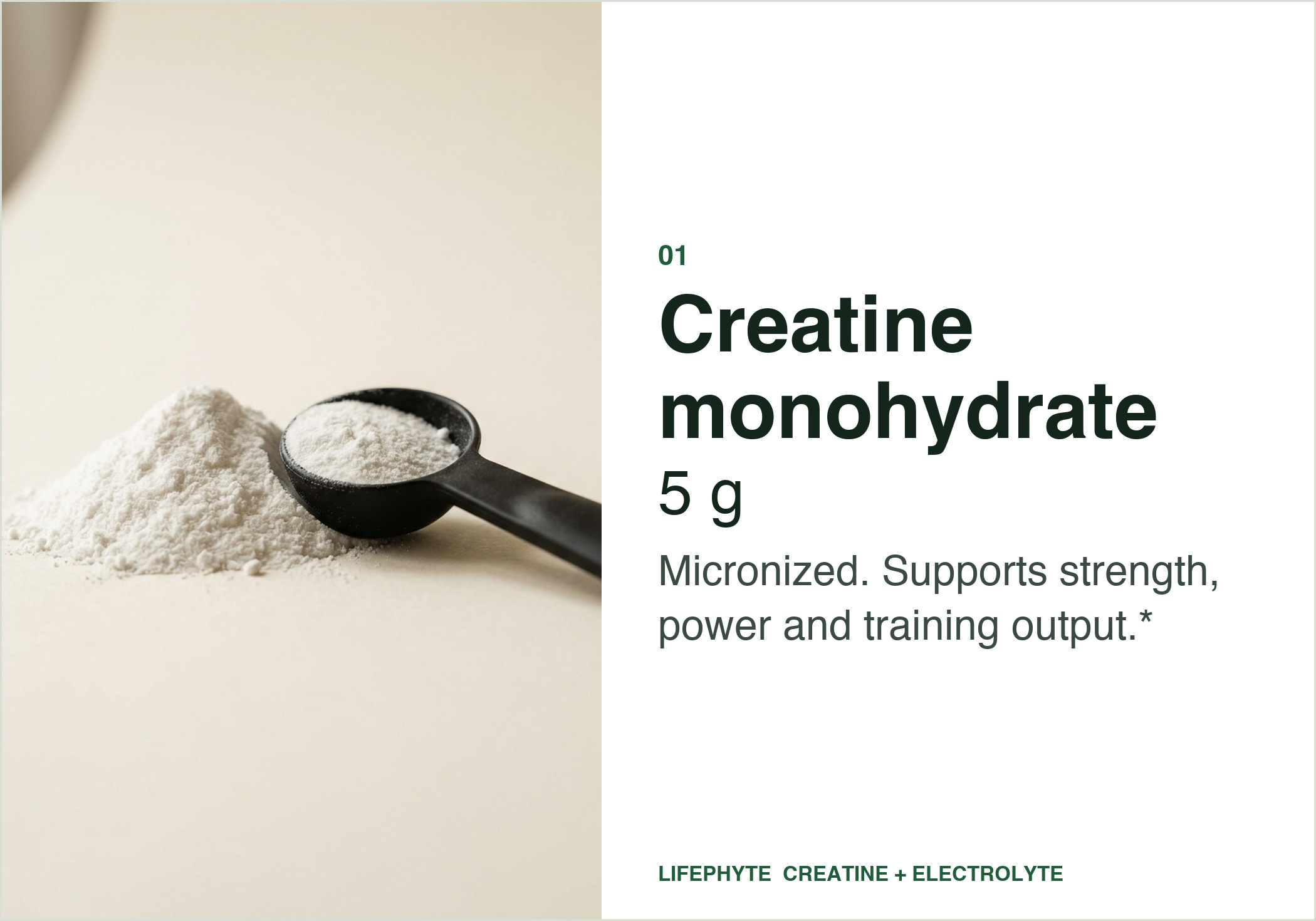 Creatine monohydrate, micronized