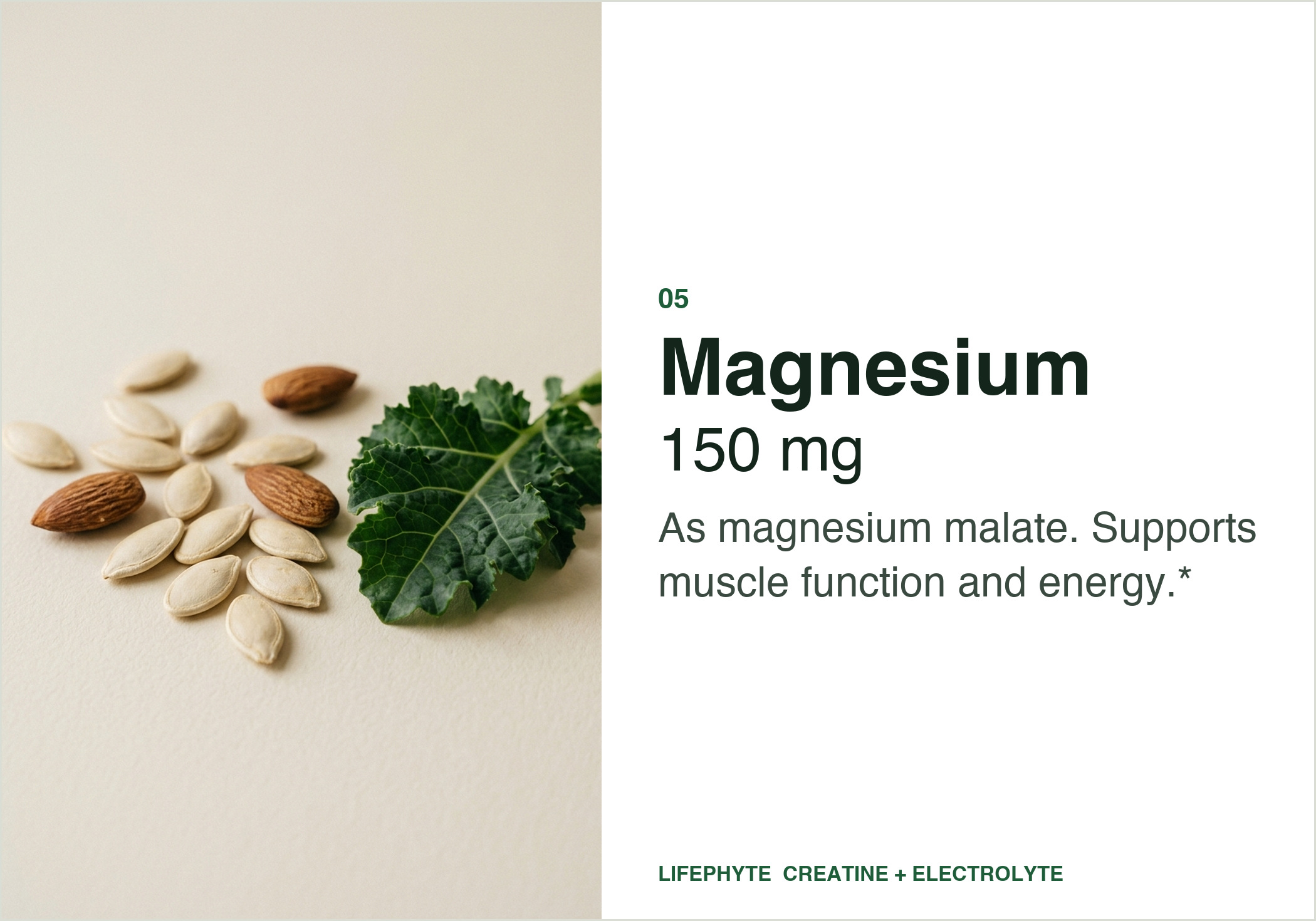 Magnesium, as magnesium malate
